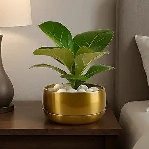CINAGRO Round Metal Planter Pot for Home,13.9x7.62cm, Pulse Nest - Gold